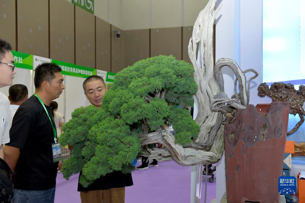 现金赢钱捕鱼游戏